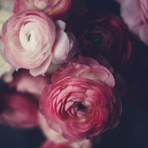 Hard Tail Cargo Listing for Anne 💕